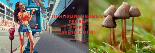 а пвп мука Армянск