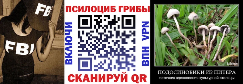 Галлюциногенные грибы Cubensis  kraken tor  Орлов  дарнет шоп 