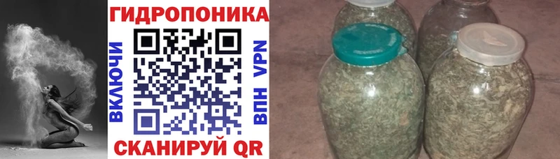Бошки марихуана Bruce Banner  где найти наркотики  Орлов 
